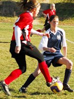 tournament action
